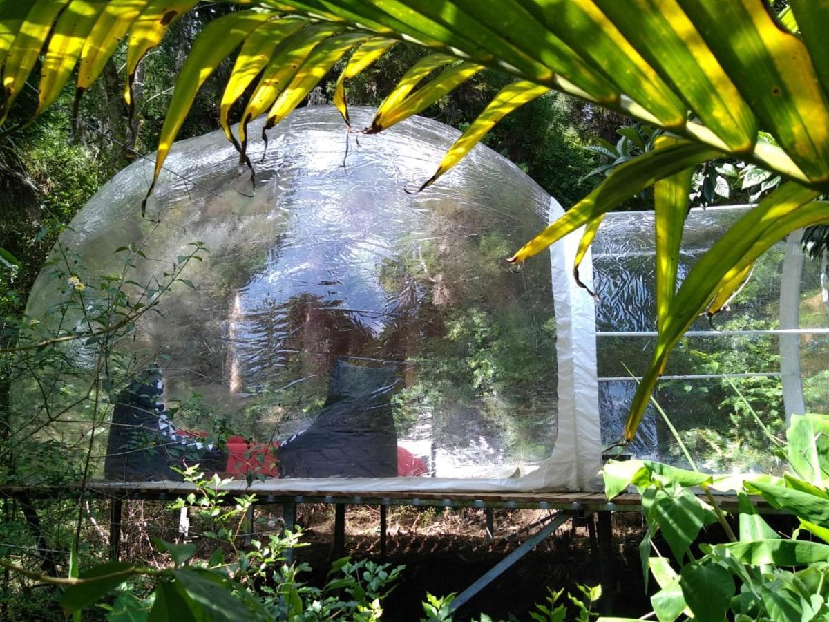 Dans Ma Bulle By C Cibeaulaos Hotell Cilaos Exteriör bild