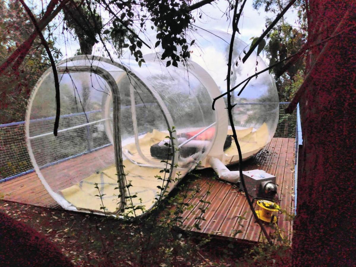 Dans Ma Bulle By C Cibeaulaos Hotell Cilaos Exteriör bild